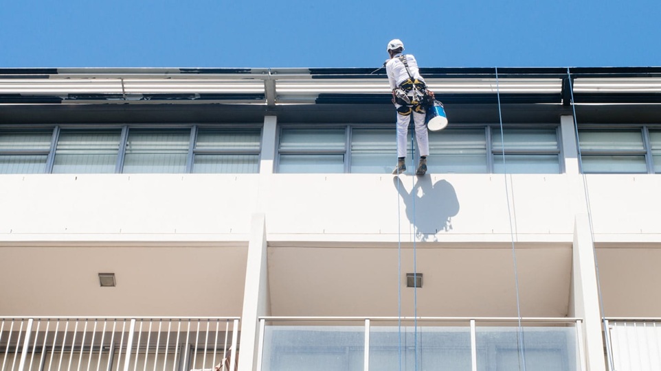 Abseiling painters in Sydney