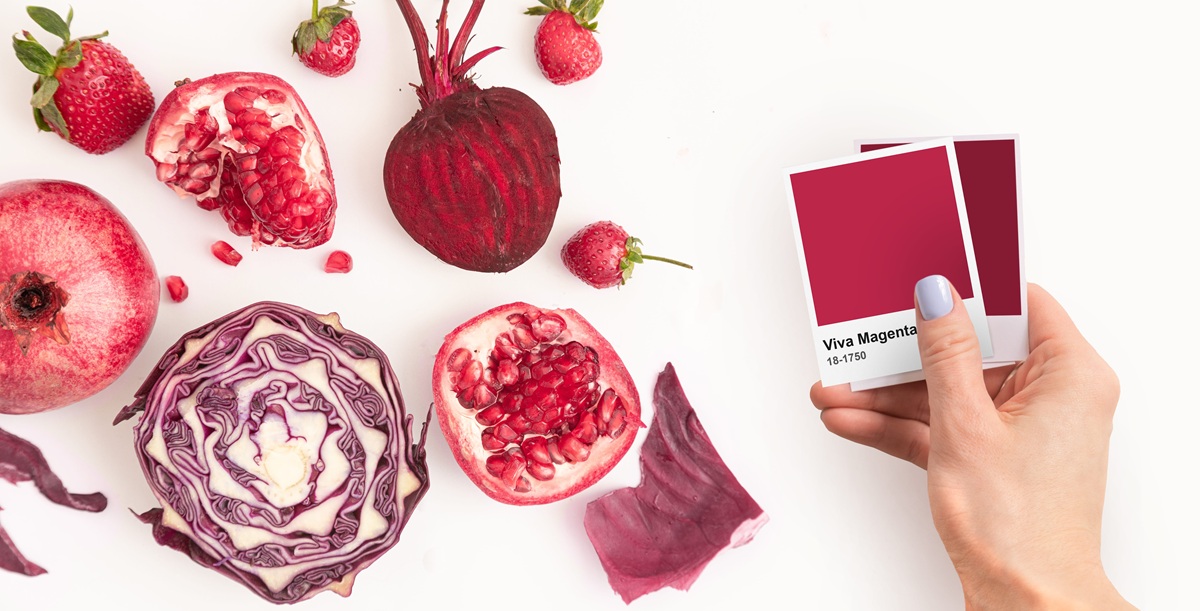 organic vegetables captured from above color of the year 2023 viva magenta